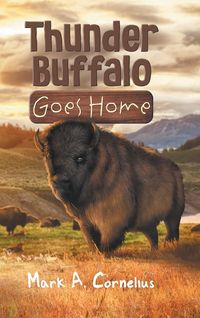 Produktbild: Thunder Buffalo Goes Home
