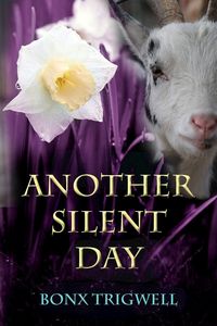 Produktbild: Another Silent Day