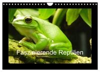 Produktbild: Faszinierende Reptilien (Wandkalender 2026 DIN A4 quer), CALVENDO Monatskalender