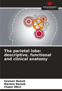 Produktbild: The parietal lobe: descriptive, functional and clinical anatomy
