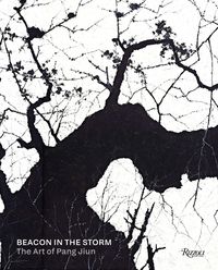 Produktbild: Beacon in the Storm