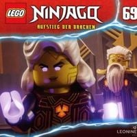 Bild vom Artikel LEGO Ninjago (CD 69) vom Autor 