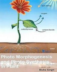 Produktbild: Photo Morphogenesis And Photo Synthesis In Plant