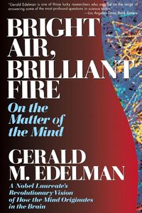 Produktbild: Bright Air, Brilliant Fire