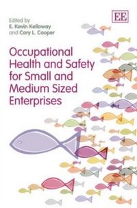 Produktbild: Occupational Health and Safety for Small and Medium Sized E