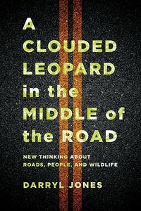 Produktbild: A Clouded Leopard in the Middle of the Road