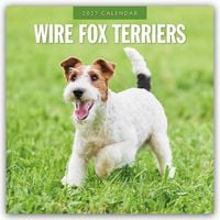 Produktbild: Wire Fox Terriers &ndash; Drahthaar Foxterrier 2027 &ndash; 16-Monatskalender