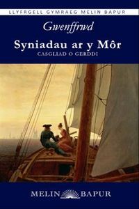 Produktbild: Syniadau ar y M&ocirc;r