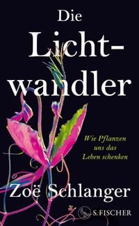 Produktbild: Die Lichtwandler