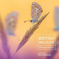 Produktbild: British Wildlife Photography Awards 12