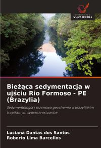 Produktbild: Bie&iquest;&iquest;ca sedymentacja w uj&iquest;ciu Rio Formoso - PE (Brazylia)