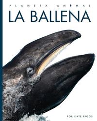Produktbild: La Ballena