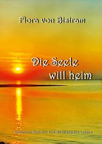 Produktbild: Die Seele will heim