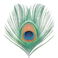 Produktbild: Apple Venus (Vol.1) (200 Gramm Vinyl)