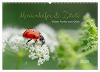 Produktbild: Marienk&auml;fer & Zitate - Sieben Punkte zum Gl&uuml;ck (Wandkalender 2026 DIN A2 quer), CALVENDO Monatskalender