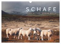 Produktbild: Schafe - Raues Wetter, weiche Wolle (Wandkalender 2026 DIN A3 quer), CALVENDO Monatskalender