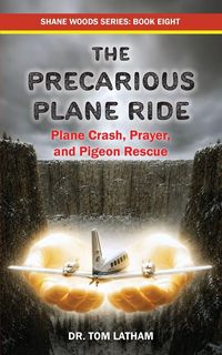 Produktbild: The Precarious Plane Ride