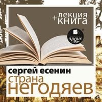 Produktbild: Strana negodyaev+ Lekciya
