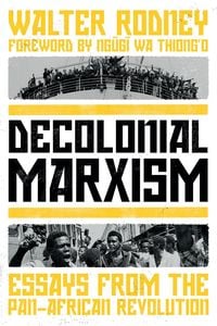 Bild vom Artikel Decolonial Marxism vom Autor Walter Rodney