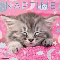 Produktbild: Naptime: A Cat's Favorite Pastime 2026 Wall Calendar