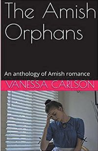 Produktbild: The Amish Orphans