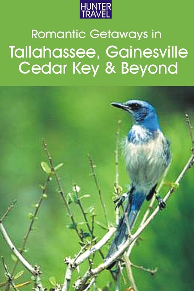 Produktbild: Romantic Getaways: Tallahassee, Gainesville, Cedar Key & Beyond
