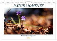 Produktbild: Natur Momente (Wandkalender 2026 DIN A4 quer), CALVENDO Monatskalender