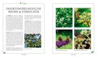 Gartenplanung leicht gemacht – Fair und nachhaltig!