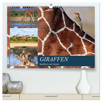 Produktbild: Giraffen - Sanftheit und Anmut (hochwertiger Premium Wandkalender 2027 DIN A2 quer), Kunstdruck in Hochglanz
