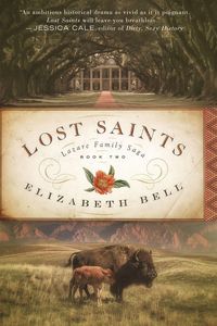 Produktbild: Lost Saints