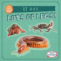 Produktbild: Nagle, F: It Has Lots of Legs!