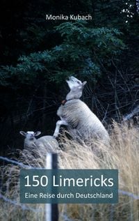 Produktbild: 150 Limericks