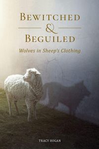Produktbild: Bewitched and Beguiled