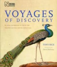 Produktbild: Rice, T: Voyages of Discovery