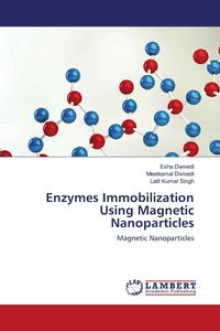 Produktbild: Enzymes Immobilization Using Magnetic Nanoparticles