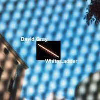 Produktbild: White Ladder