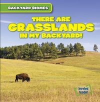 Produktbild: There Are Grasslands in My Bac