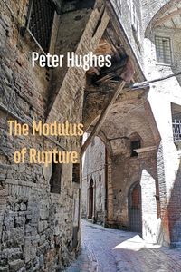 Produktbild: The Modulus of Rupture