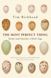 Produktbild: The Most Perfect Thing