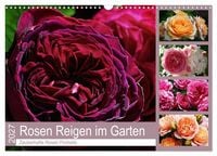 Produktbild: Rosen Reigen im Garten (Wandkalender 2027 DIN A3 quer), CALVENDO Monatskalender