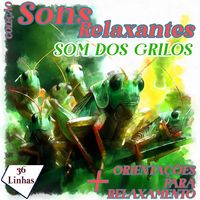 Produktbild: Cole&ccedil;&atilde;o Sons Relaxantes - sons de grilos