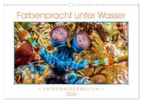 Produktbild: Farbenpracht unter Wasser (Wandkalender 2026 DIN A3 quer), CALVENDO Monatskalender