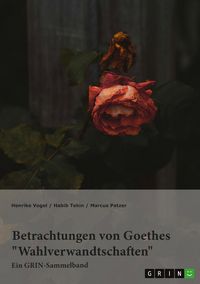 Produktbild: Betrachtungen von Goethes "Wahlverwandtschaften". Intertextualit&auml;t und Todesmotiv