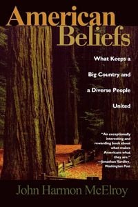 Produktbild: American Beliefs