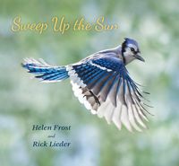 Produktbild: Sweep Up the Sun