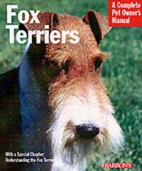 Produktbild: Fox Terriers