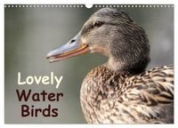 Produktbild: Lovely Water Birds (Wall Calendar 2027 DIN A3 landscape), CALVENDO 12 Month Wall Calendar
