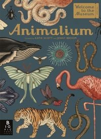 Produktbild: Animalium