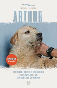 Bild vom Artikel Arthur vom Autor Mikael Lindnord