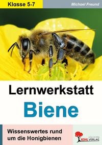 Produktbild: Lernwerkstatt Biene